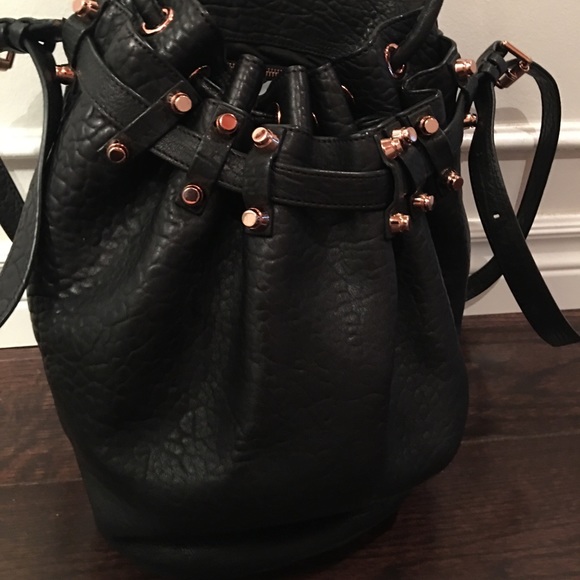 Alexander Wang - Picture 9 of 9